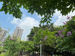 -广东花都湖国家湿地公园