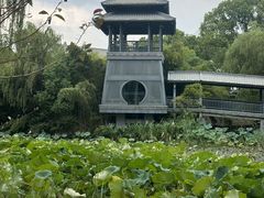 -金鸡湖桃花岛