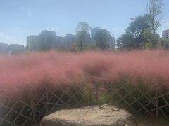 -牛岗山公园