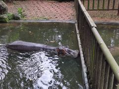 -海南热带野生动植物园