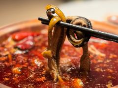 -豹豹私房火锅(侨城坊店)