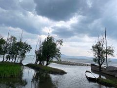 -洱海月湿地公园