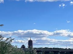 -永定河休闲森林公园