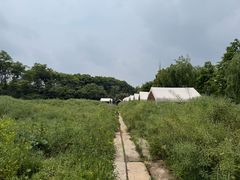 -金稼园·金平湖农家菜