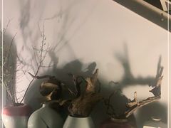 -穹六人间 people 6(岳阳路店)
