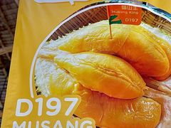 -榴莲BB 四季果园