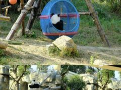 -宁波野生动物园