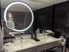 -新加坡乌节希尔顿酒店 (SG Clean)