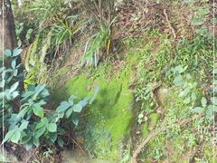 -珞珈山-售票处