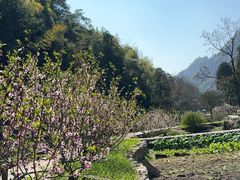 -黄檀硐景区