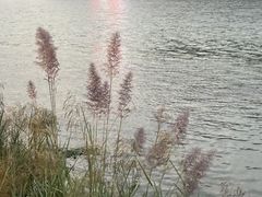 -永安龟山公园