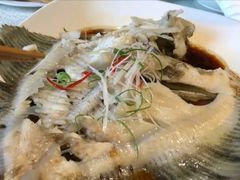 清蒸多宝鱼-蓬川食府(金海道店)