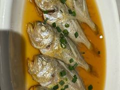 -华盛丰温州大排档(东三环南路店)