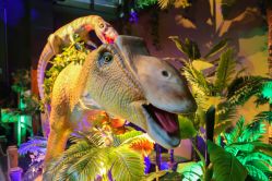 -恐龙探索乐园(磁器口店)