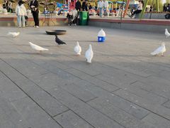 -卧龙湖