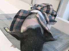 -怪兽屋·羊驼·猫咖·狗咖(俊华广场店)