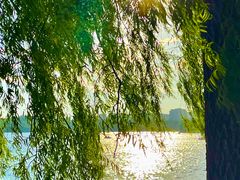 -长春市南湖公园