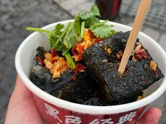 -黑色经典臭豆腐·湖南特产(坡子街店)