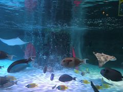 -沈阳海洋探索中心