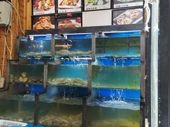 水产区-老东镇啤酒屋海鲜加工·蒸汽海鲜·海鲜烧烤(台东店)