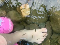 -白河湾生态旅游一条川