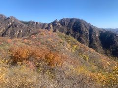 -大岭沟猕猴桃谷风景区