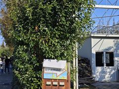 -前小桔亲子创意农场·草莓采摘·露营烧烤