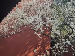 -钱王祠