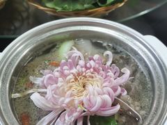 -华强阁菊花宴自助火锅店