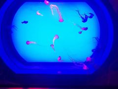 -沈阳海洋探索中心