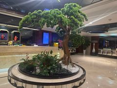 -南京商茂国际酒店(新街口德基广场店)