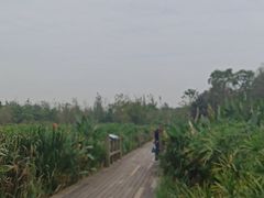 -白鹭湾湿地公园