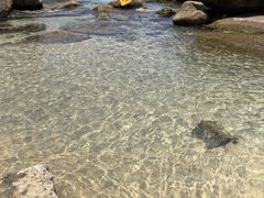 -海角城白海豚浪漫海滩