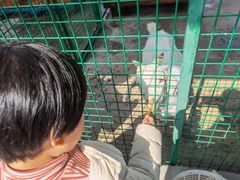 -同里湖度假村(二期店)