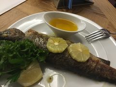-NORDSEE Frankfurt Fisch Franke