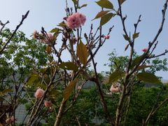 -广东工业大学(大学城校区)