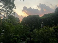 -晓港公园