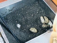 -叶氏麻糍(鼓浪屿店)