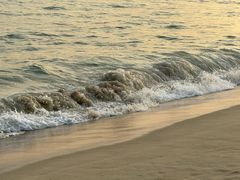 -玫瑰海岸文化旅游度假区