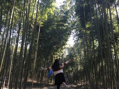 -杭州双溪漂流景区