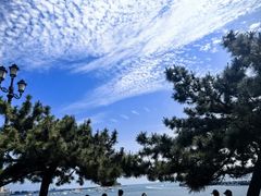 -青岛海滨风景区