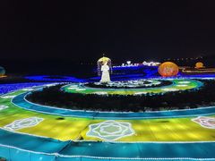 -空港花田景区