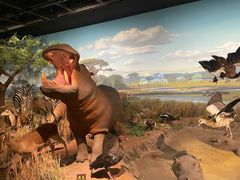 -陕西自然博物馆