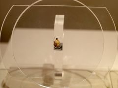 -浙江省博物馆(孤山馆区)