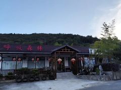 -呼吸森林·生态农庄农家乐私房菜