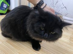 -联合动物医院(光谷诊疗中心)