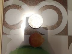 -马陆小张葡萄园农家乐