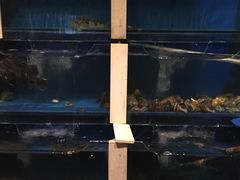 -大吉鲜鱼料理自慢(维也纳大厦店)