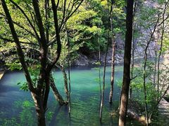 -百杖潭景区