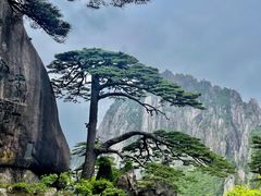 -黄山风景区